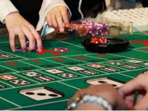 壹号下载app链接2024最新版